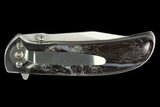 Folding Knife With Utah Petrified Palmwood Inlays #127597-1